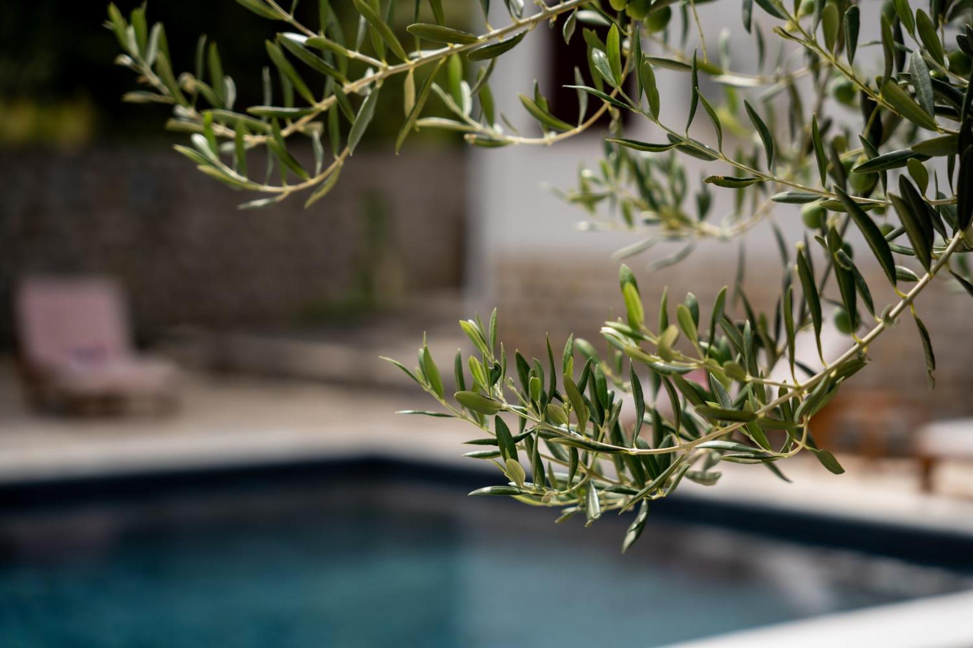 Villa Pag Dubrava Relax With Pool Bosana Экстерьер фото